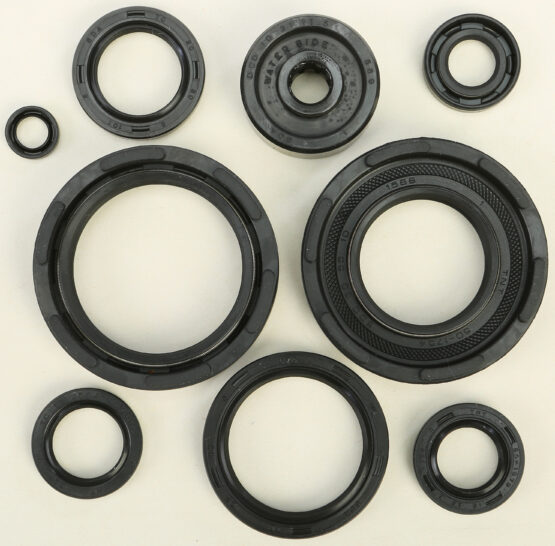 Oil Seal Kit