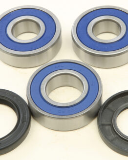 Rear Wheel Bearing Kit