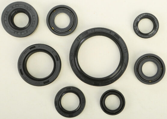 Oil Seal Kit