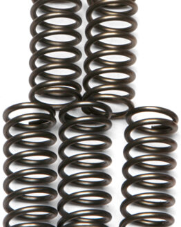EBC CSK Series Clutch Spring Kit CSK121 Fits 06-11 KX450F, 08-09 KLX450R