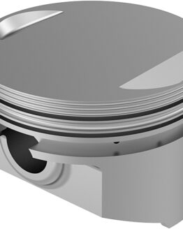 Cast Piston Kit EVO 74CI 8.9:1 +.020