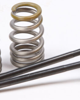 Steel Intake Valve/Spring Kit