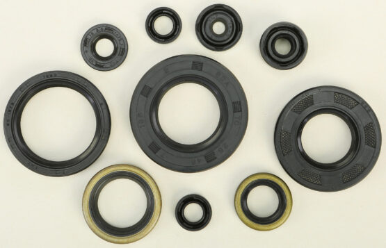 Oil Seal Kit