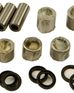 Swing Arm Linkage Bearing & Seal Kit