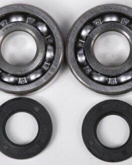 Crankshaft Bearing & Seal Kit