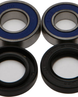 Wheel Bearing & Seal Kit