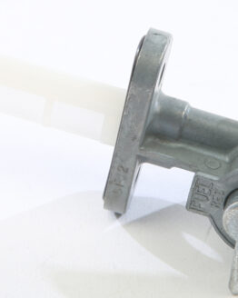 Fuel Petcock Assembly