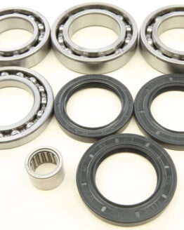Rear Differential Bearing & Seal Kit