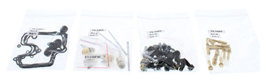 Carburetor Rebuild Kit