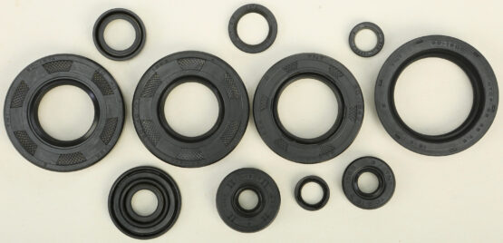 Oil Seal Kit