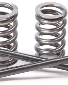 Steel Intake Valve/Spring Kit
