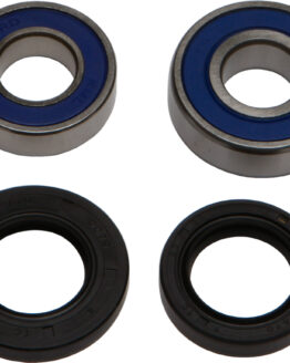Wheel Bearing & Seal Kit