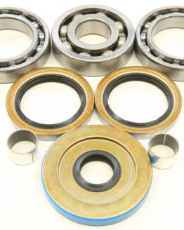 Differential Bearing & Seal Kit