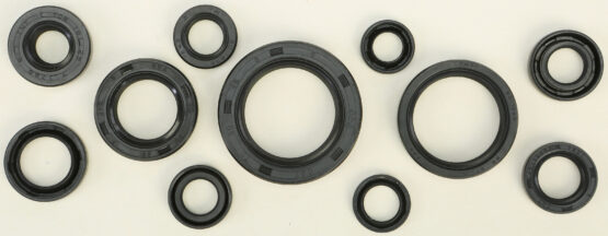 Oil Seal Kit