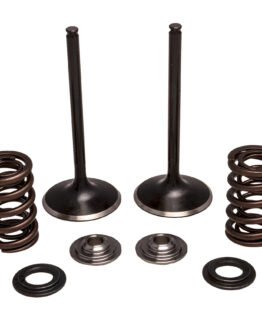 Intake Valve Spring Kit