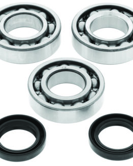 QuadBoss Crankshaft Bearing & Seal Kit 94-95 Polaris 300