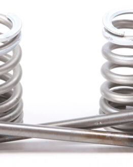 Steel Exhaust Valve/Spring Kit