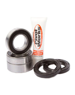 Rear Wheel Bearing Kit