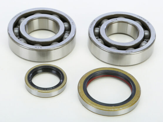 Crankshaft Bearing & Seal Kit