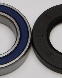 Wheel Bearing & Seal Kit