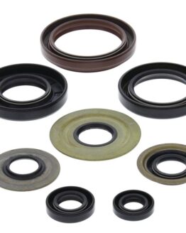 Vertex Engine Oil Seal Kit 822218