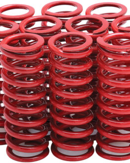 Clutch Springs Set