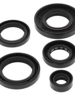 Vertex Engine Oil Seal Kit Fits 2005-2010 Arctic Cat