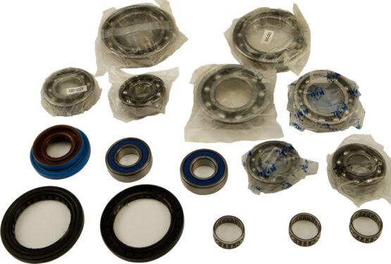 Differential Bearing & Seal Kit