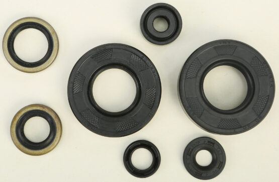 Oil Seal Kit