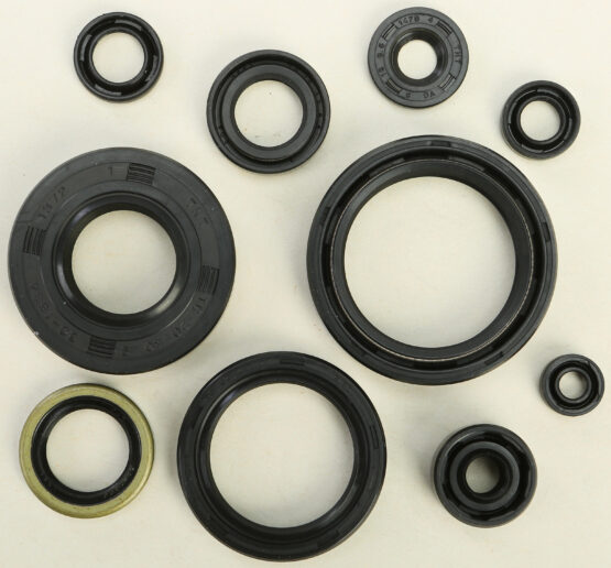 Oil Seal Kit