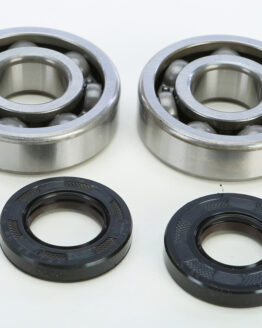 Crankshaft Bearing & Seal Kit