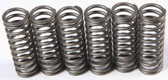 CSK Series Clutch Springs +15%