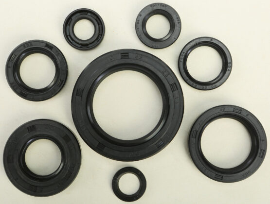 Oil Seal Kit