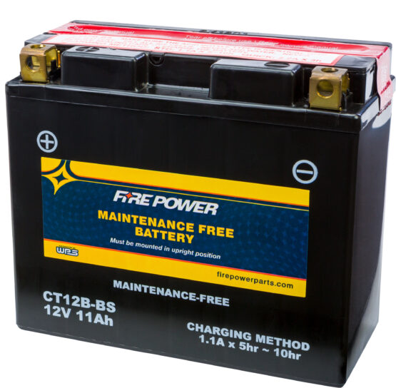 Maintenance Free Sealed Battery