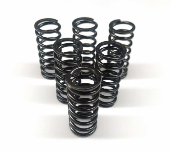 WORKS Clutch Spring Kit