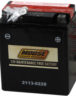 YTX AGM Maintenance Free Battery 100CCA 12V 6Ah