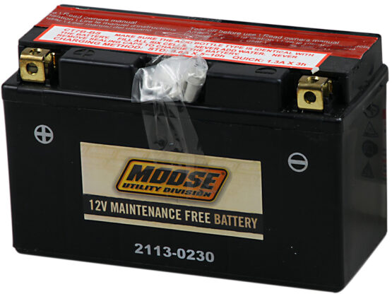 YT AGM Maintenance Free Battery 120CCA 12V 6.5Ah