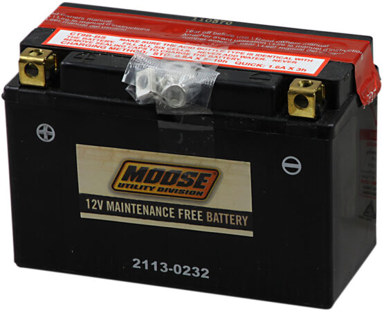 YT AGM Maintenance Free Battery 115CCA 12V 8Ah
