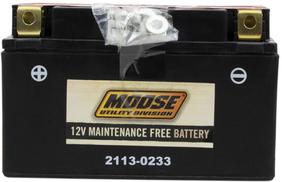 YTZ AGM Maintenance Free Battery 190CCA 12V 8.6Ah