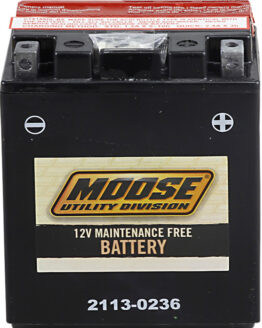 YTX AGM Maintenance Free Battery 210CCA 12V 12Ah