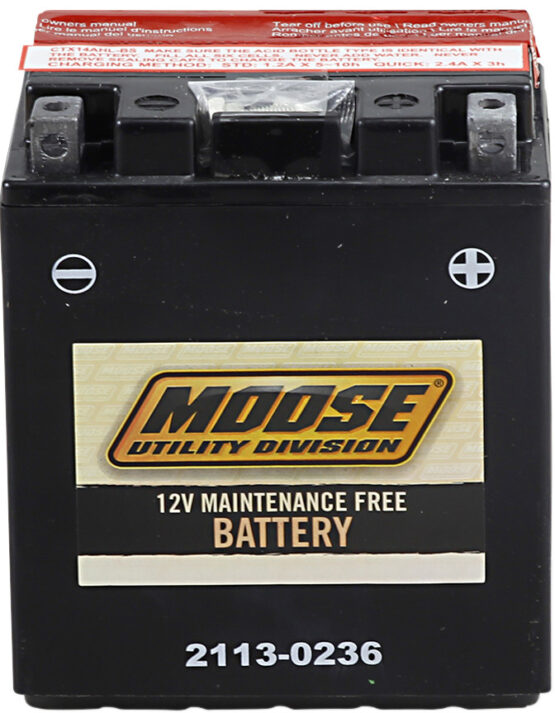 YTX AGM Maintenance Free Battery 210CCA 12V 12Ah