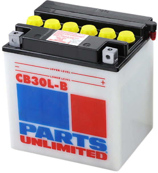 Heavy-Duty Battery 12V 30Ah