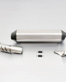 Remus HEXACONE Slip-On Exhaust Titanium Silver Fits 10-12 BMW R1200GS