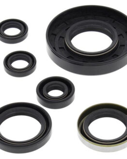Vertex Oil Seal Kit 822262 Fits 00-02 Polaris Xpedition 425