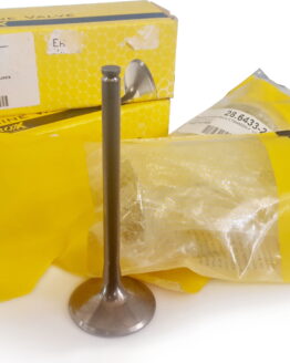 Titanium Valve Kit Intake & Exhaust Valves