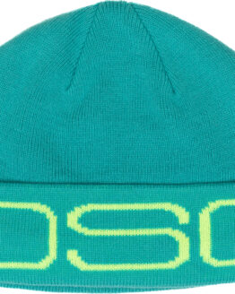 DSG Logo Beanie Mint Womens
