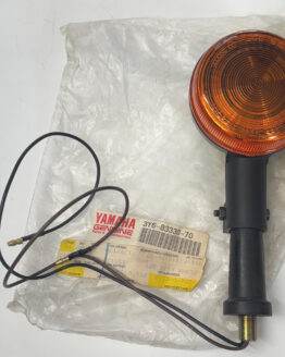 Rear Flasher Light Assembly - Yamaha