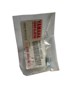 Yamaha Screw, Flat 98707-06014-00